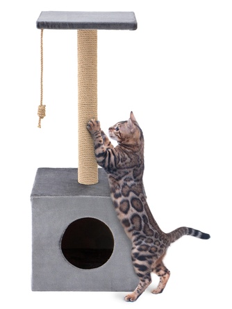 Когтеточка-столбик для кошек RICH BREED куб с площадкой, джут, серый (35*35*85 см)