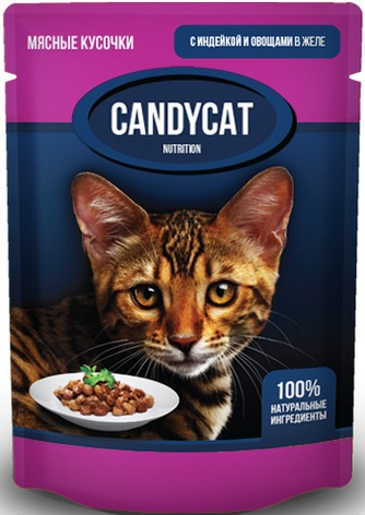 Корм влажный для кошек GINA Candycat  кусочки с Индейкой и овощами в желе (85 г)