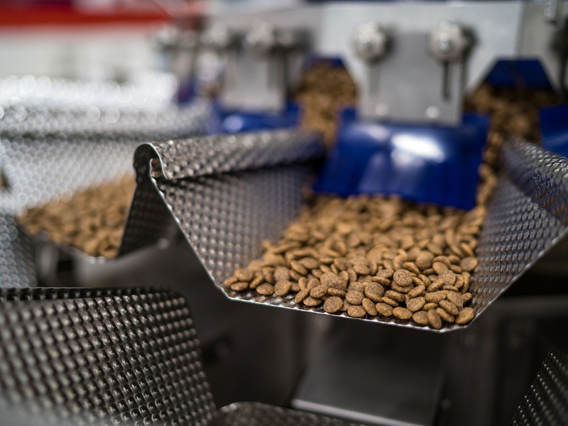 Российский бизнес за три года открыл 71 завод по выпуску кормов для питомцев