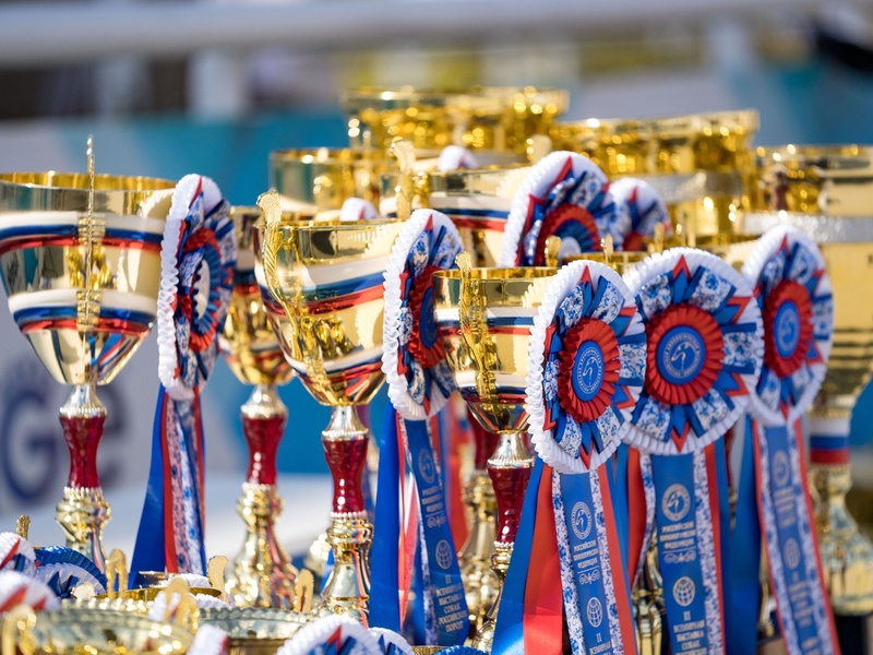 Крупнейшая выставка собак «Евразия-2025» с кубками РКФ и СНГ пройдет в Москве