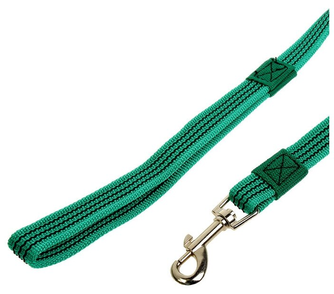 Поводок капроновый для собак ЗООНИК с латексной нитью, зеленый (5 м*20 мм)