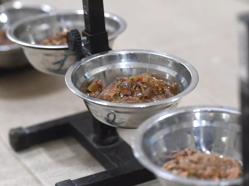 Стали известны результаты трех дней работы маркировки корма для животных