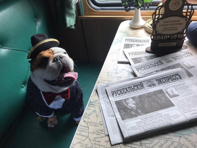 ФПК начала продавать товары для животных в поездах