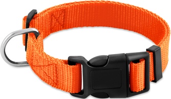 Ошейник для собак SAIVAL Standart Лайт оранжевый (25мм/50см)