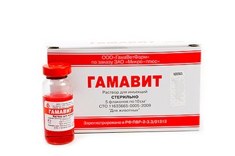 Раствор для животных МИКРО-ПЛЮС Гамавит для повышения естественной резистентности, иммунокоррекции и снижения последствий интоксикаций (5 флаконов/10 мл)