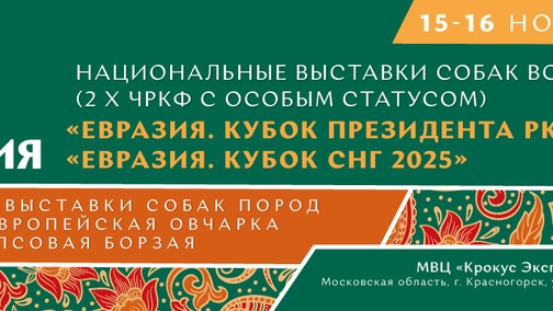 




    
        
            



    
        
            
        
        
            
        
    

        
    
    
        
            
                15 и 16 ноября в «Крокус Экспо» состоится главное кинологическое событие осени — выставка «Евразия-2025». Гостей ждут чемпионаты Росси…