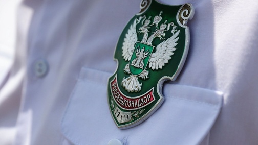 




    
        
            



    
        
            
        
        
            
        
    

        
    
    
        
            
                Россельхознадзор выявил не отвечающий должным требованиям качества ветеринарный препарат из Греции для трёх видов сельхозживотных. Об …