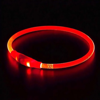 Ошейник для собак RICH BREED светящийся с usb-зарядкой красный (M/40-50см)