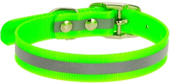 Ошейник из биотана для собак КАСКАД зеленый со светоотражающей полосой (15 мм*21-30 см)