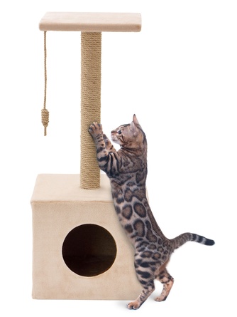 Когтеточка-столбик для кошек RICH BREED куб с площадкой, джут, бежевый (35*35*85 см)