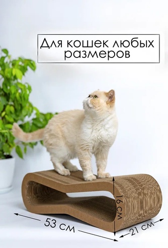 Когтеточка-Лежанка для кошек ЗВЕРЬЕ МОЕ восьмерка средняя, картон (53*21*16 см)