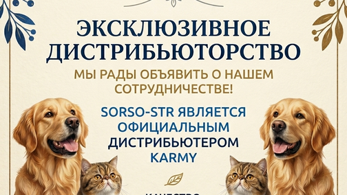 




    
        
            



    
        
            
        
        
            
        
    

        
    
    
        
        Компания SORSO-STR стала эксклюзивным дистрибьютором кормов Karmy. Это открывает новые возможности для обеспечения ваших питомцев качественным и сбалансиро…
