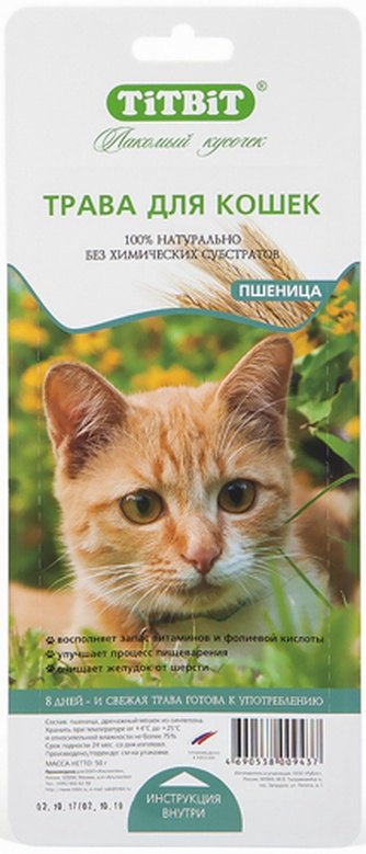 Травка для кошек TITBIT Лакомый кусочек пшеница (50 г)