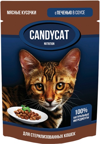 Корм влажный для взрослых стерилизованных кошек GINA Candycat  кусочки в соусе печень (85 г)