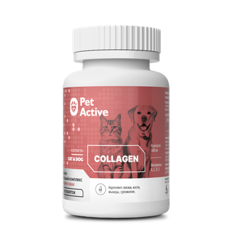 Витаминно-минеральный комплекс для кошек и собак PETACTIVE Collagen Коллаген (100 таб)