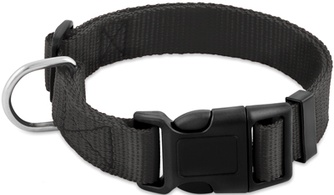 Ошейник для собак SAIVAL Standart Лайт черный (25мм/50см)