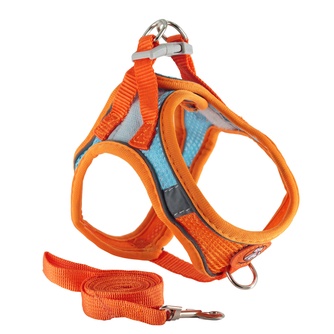 Шлейка-жилетка мягкая + поводок для собак КАСКАД XS оранжевая (150 см/31-41 см)