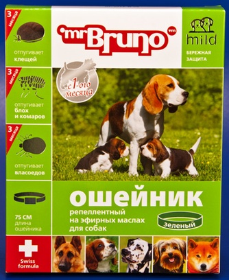 Ошейник для собак NEOTERICA Mr.Bruno зеленый (75 см)
