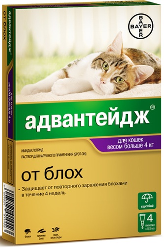 Капли для кошек более 4кг BAYER Адвантейдж от блох (0,8 мл/4 пипетки)