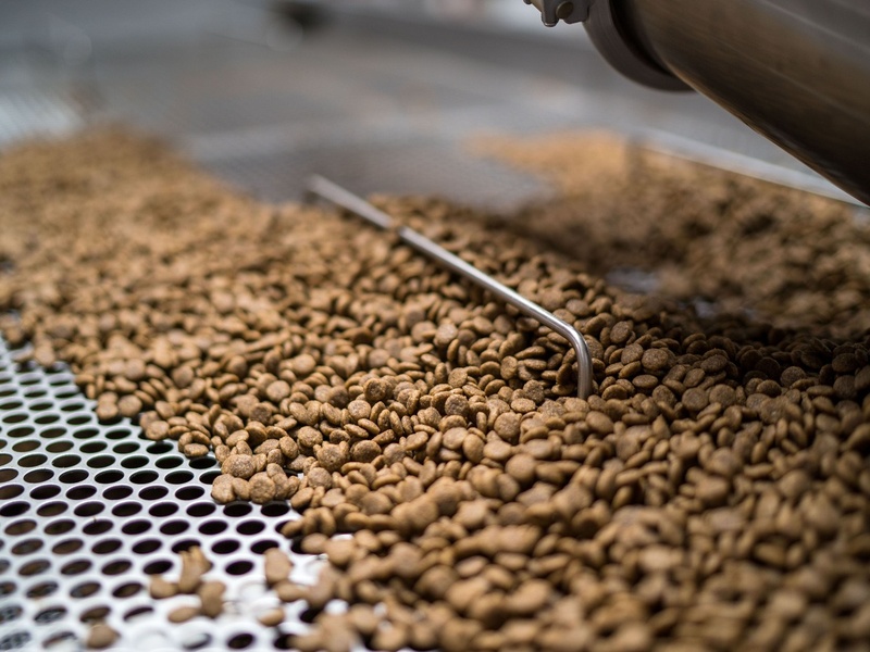 Mars построит в Казахстане завод по производству кормов для питомцев за $180 млн