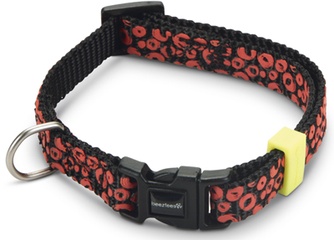 Ошейник нейлоновый для собак BEEZTEES Scribbles черный (1*30 см)