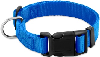 Ошейник для собак SAIVAL Standart Лайт синий (20мм/41см)