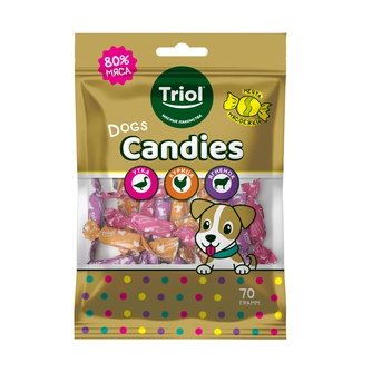 Лакомство для собак TRIOL Fun Food Конфеты мясные из курицы, утки, ягненка (70 г)