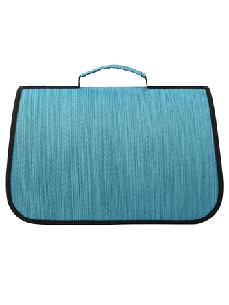 Сумка-переноска для кошек и собак RICH BREED MYJET иллюминатор/сетка, голубая лайн (M/40*25*25 см)