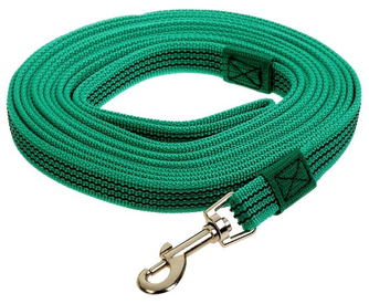 Поводок капроновый для собак ЗООНИК с латексной нитью, зеленый (5 м*20 мм)