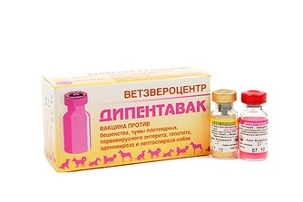 Вакцина для собак ВЕТЗВЕРОЦЕНТР Дипентавак для профилактики бешенства, чумы плотоядных, парвовирусного энтерита, инфекционного гепатита, аденовироза и лептоспироза (5 доз)