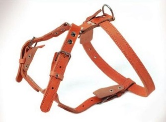 Шлея кожаная для собак АРКОН №1 водильная, двухслойный, коньячный (70-87 см/25 мм)