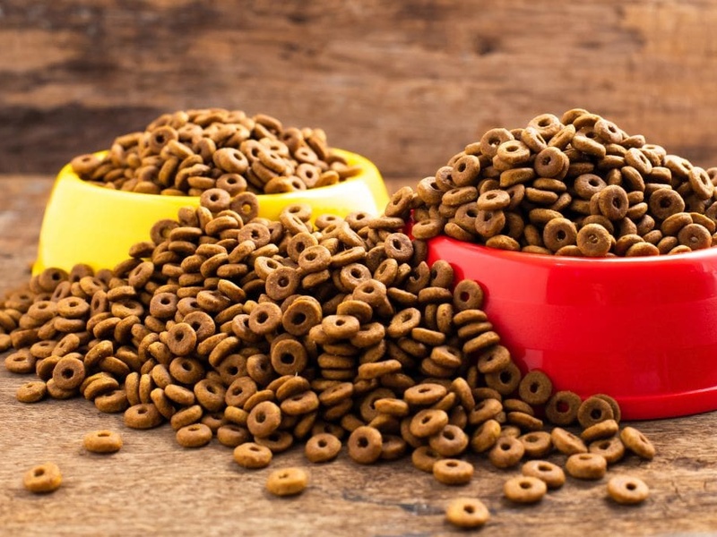 Турецкие корма для кошек не прошли лабораторный контроль