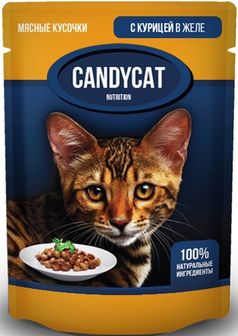 Корм влажный для кошек GINA Candycat  кусочки с Курицей в желе (85 г)