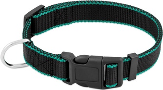 Ошейник для собак SAIVAL Premium Цветной край черный с зеленым (25мм/65см)