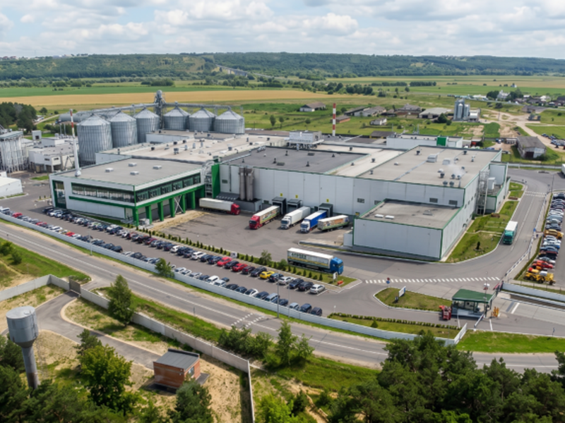 Подмосковье заняло первое место в России по объёмам производства кормов для домашних животных