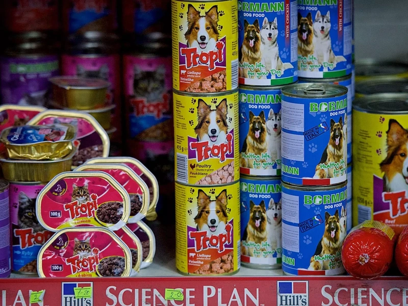 Грузия увеличила импорт корма для кошек и собак из России в семь раз
