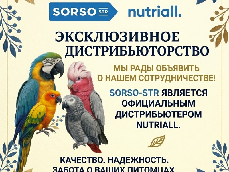 Компания SORSO-STR является эксклюзивным дистрибьютером кормов Nutriall