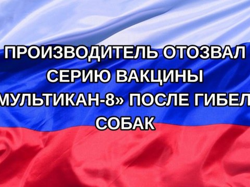 Россельхознадзор допустил отзыв лицензии у производителя вакцины «Мультикан-8»