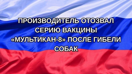 




    
        
            



    
        
            
        
        
            
        
    

        
    
    
        
        Глава Россельхознадзора Сергей Данкверт допустил, что у&nbsp;производителя вакцины &laquo;Мультикан-8&raquo; могут отозвать лицензию. Основанием для этого …