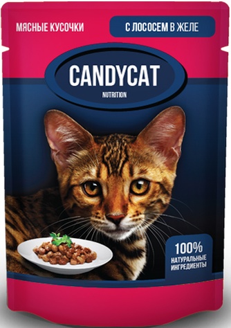 Корм влажный для кошек GINA Candycat  кусочки с Лососем в желе (85 г)